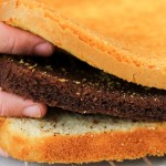SOBREMESA GELADA DE CHOCOLATE COM MORANGOS | DIA DOS PAIS |